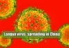 Langya virus