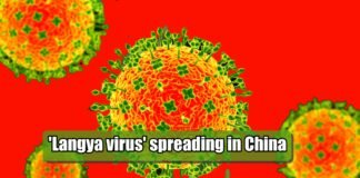 Langya virus