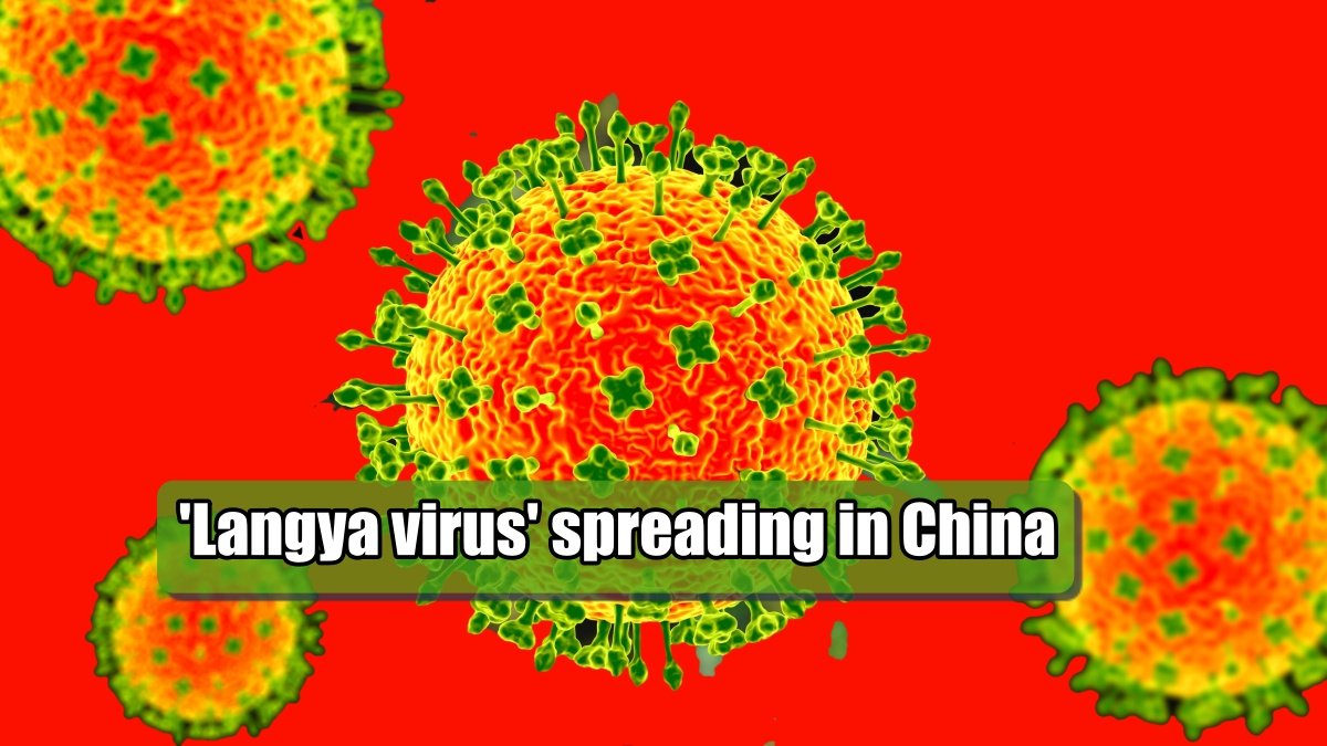 What is ‘Langya virus’ spreading in China, so far 35 have been victims of infection