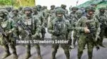 These measures are adopted by youth to avoid military service by increasing weight in Taiwan Taiwan military