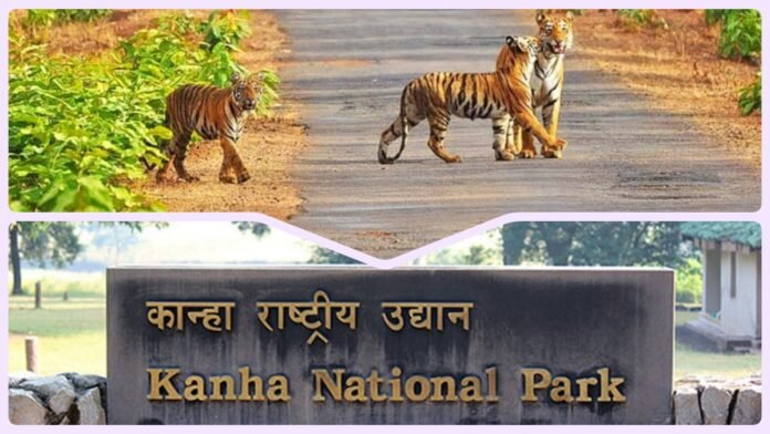 kanha national park