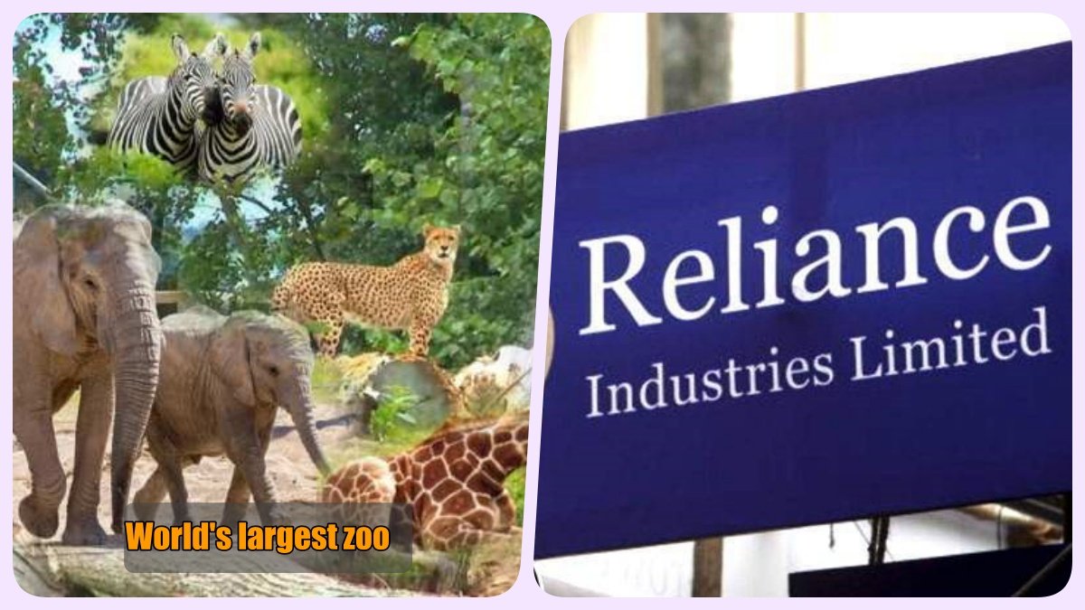 Soon Reliance will build world’s largest zoo, Supreme Court dismisses  petition against GZRRC