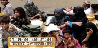 47 thousand pregnant women living in relief camps in Sindh
