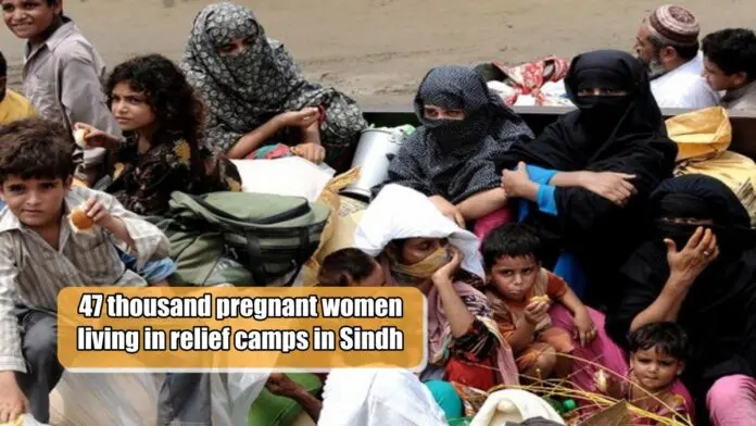 47 thousand pregnant women living in relief camps in Sindh