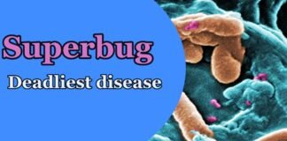 Deadliest disease Superbug
