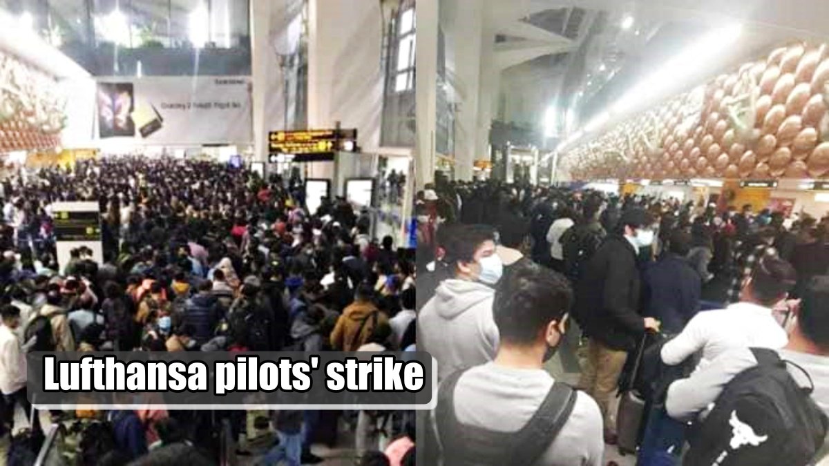 Lufthansa Airlines canceled 800 flights today, company upset due to pilots’ strike