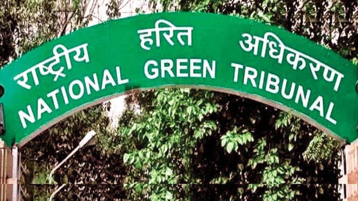 Maharashtra government should pay Rs 12,000 cr as environmental compensation: National Green Tribunal