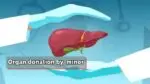Minor filed Petition in Supreme Court to donate liver, father died before verdict Organ donation