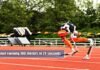 Robot running 100 meters in 24 seconds