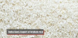 broken rice