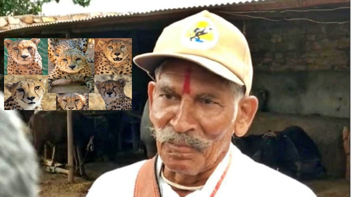 This Chitah Mitra will protect African cheetahs in Kuno, know details about him