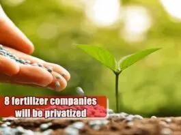 fertilizer
