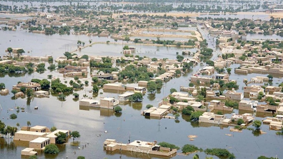 We have gone back 50 years: Pakistani farmers on flood damage