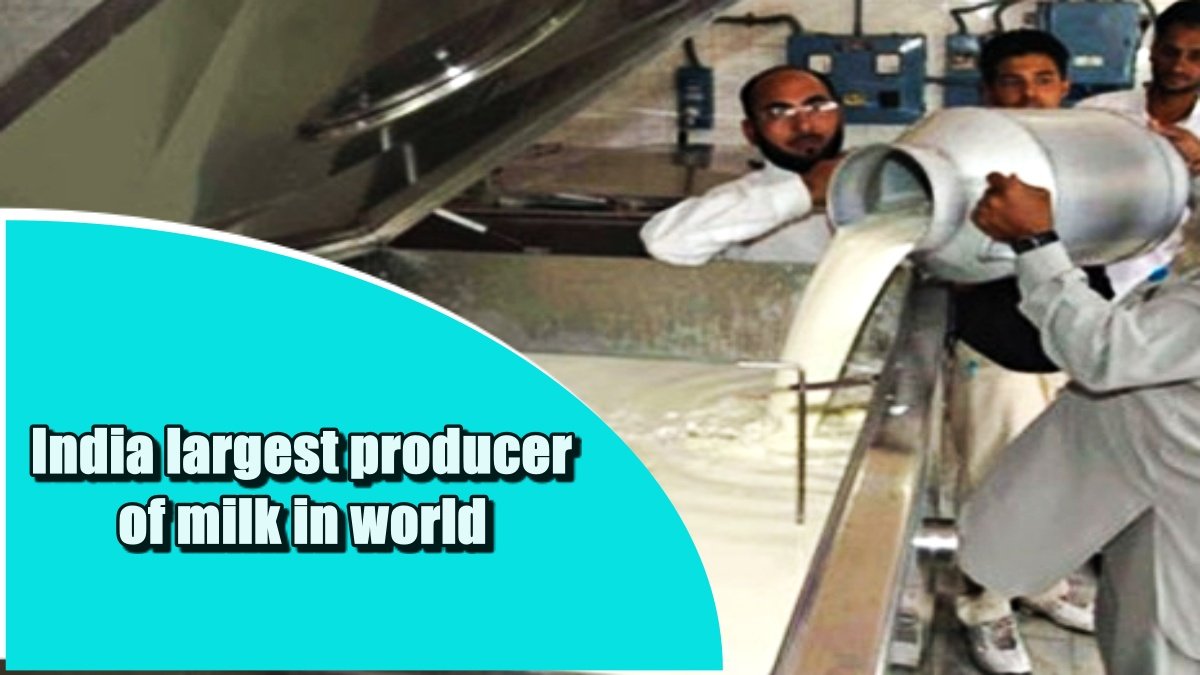 India largest producer of milk in world, contributing 21% of global milk production