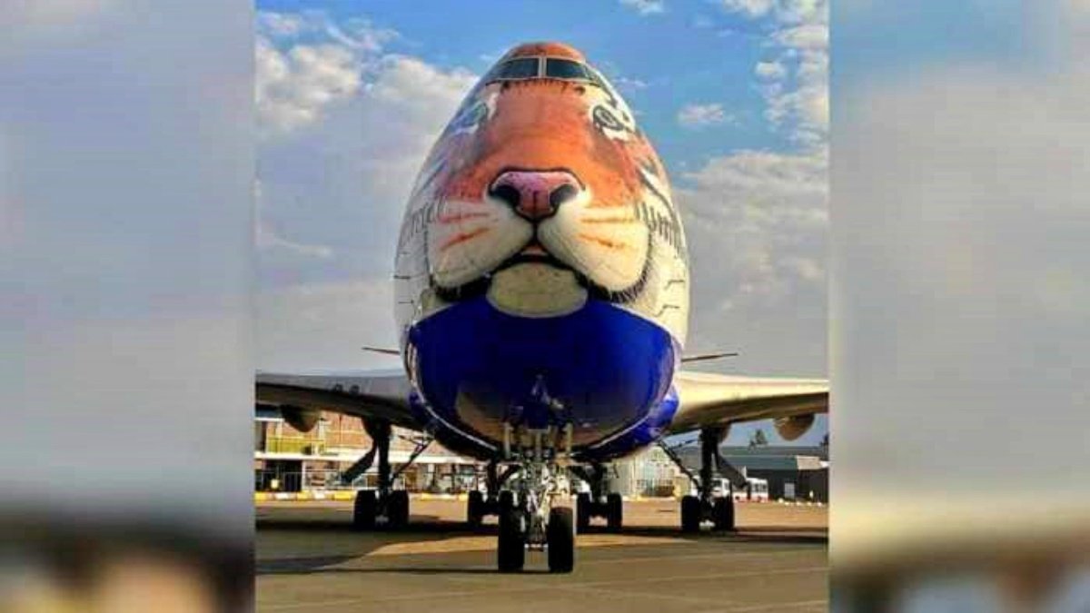Special aircraft lands in Namibia to get African Cheetahs again to India after 70 years