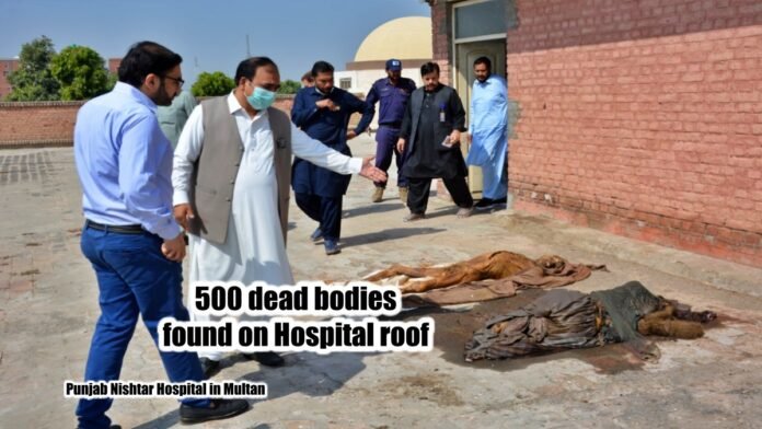 500 dead bodies found on Hospital roof
