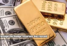 Foreign exchange reserves