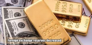 Foreign exchange reserves
