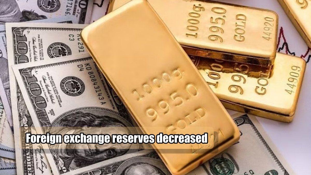 Foreign exchange reserves decreased for the 9th consecutive week