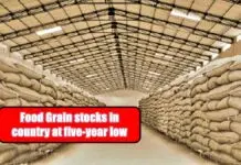 Grain stocks