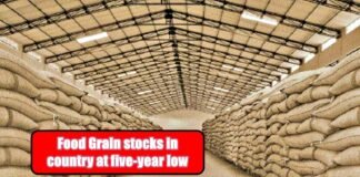 Grain stocks