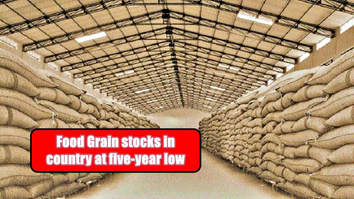 Grain stocks in the country at a five-year low, price may go up of Wheat and Rice