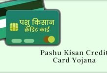 pashu-kisan-credit-card