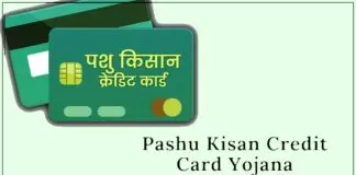 pashu-kisan-credit-card