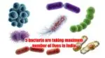 5 bacteria are taking maximum number of lives in India, scary truth revealed by statistics bacteria