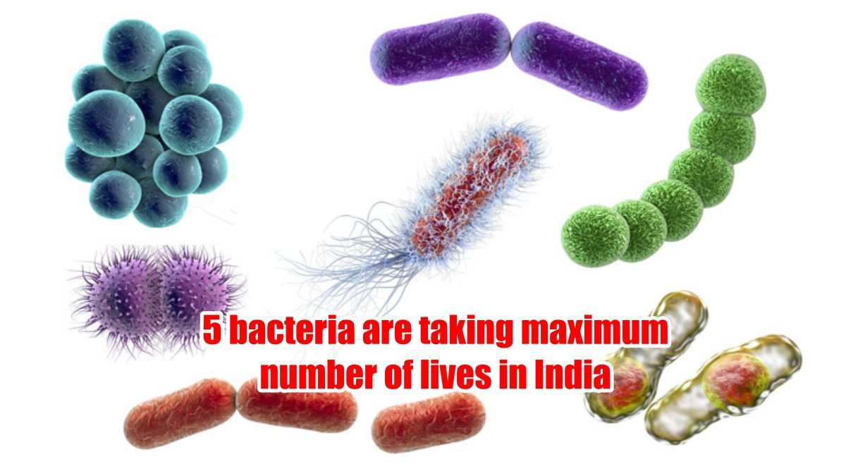 5 bacteria are taking maximum number of lives in India, scary truth revealed by statistics