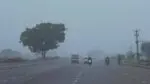 Delhi-NCR shivers as mercury dips to 5.3°C, IMD issues orange alert for North India cold wave