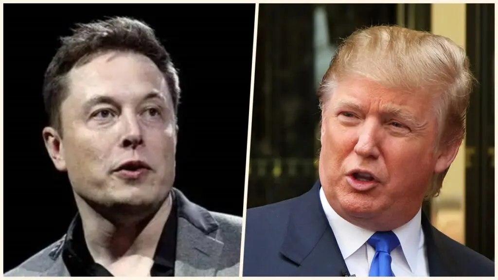 elon-musk-donald-trump | PalPal News Hub | Latest National, Technology, and Astrology News elon-musk-donald-trump