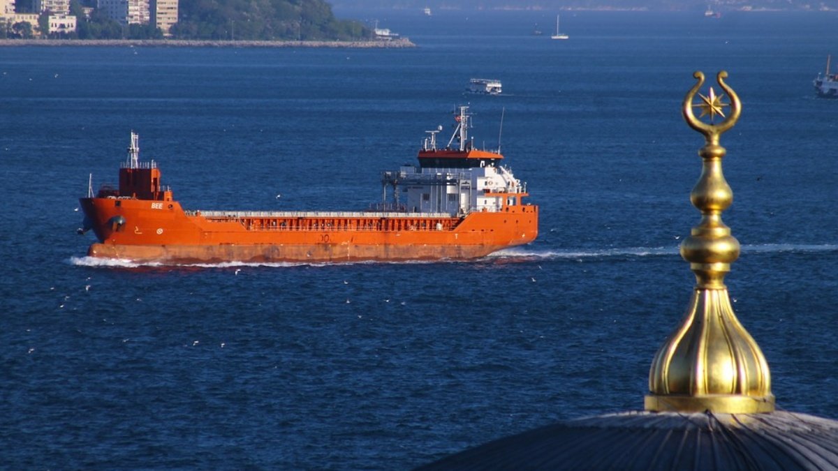Traffic jams in sea will not open soon, Turkey is stuck on checking, queue of stuck ships becoming longer