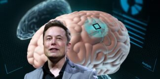 brain chip-Elon-musk