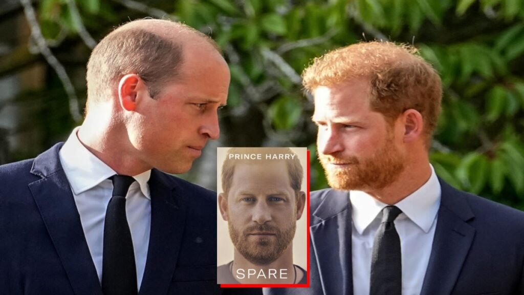 Prince Harry autobiography Spare