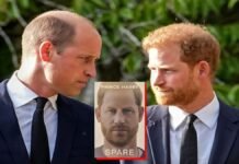 Prince Harry autobiography Spare