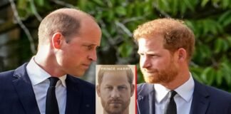 Prince Harry autobiography Spare