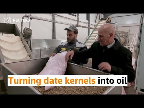 Algerian man turns date kernels into oil