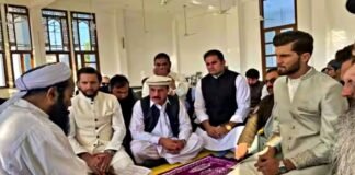 Shaheen Afridi marriage