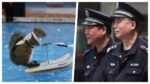 Squirrels joining Chinese police1