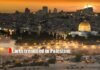 earth trembled in Palestine