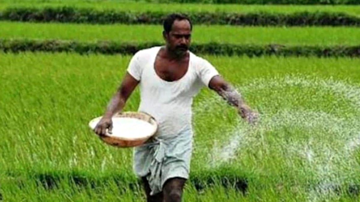 Finance minister cuts the fertilizer subsidy by 22 percent in the Union Budget