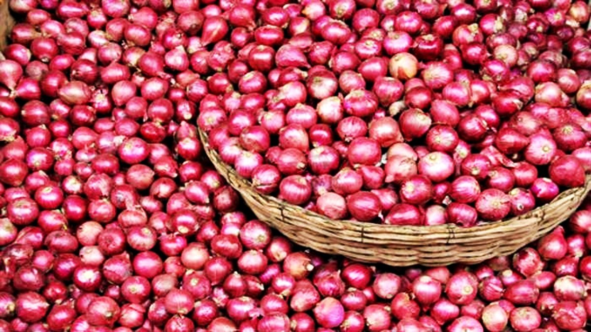 India Opens Onion Exports to UAE and Bangladesh Amidst Domestic Price Control Measures