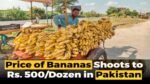 Banana price in pakistan