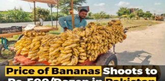 Banana price in pakistan