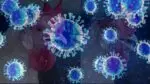 H5N1 avian influenza bird flu spreading all over world, it can become second worst human pandemic after Corona H5N1