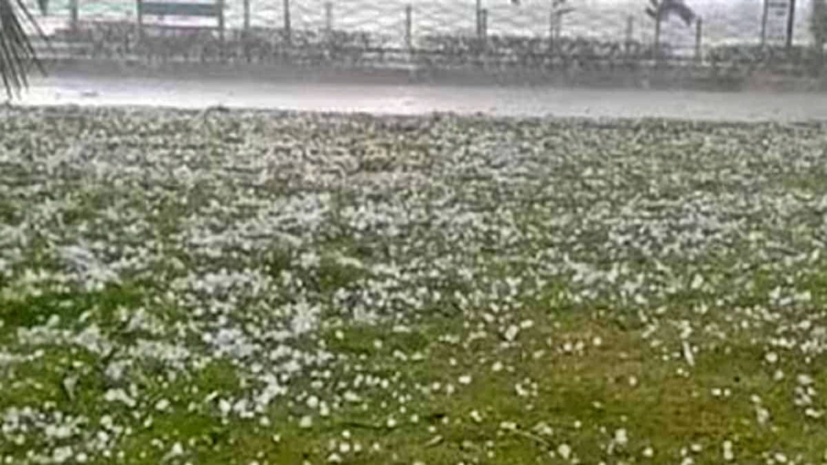 Heavy rains in many parts of Delhi, hail may fall in these states in next 48 hours