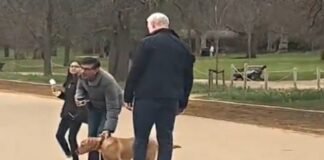 Rishi Sunak with dog