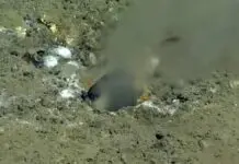 Fault Lines leak at bottom of Pacific Ocean