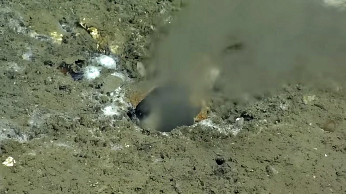 Fault Lines leak at bottom of Pacific Ocean, massive earthquake to come on earth! scientists alerted